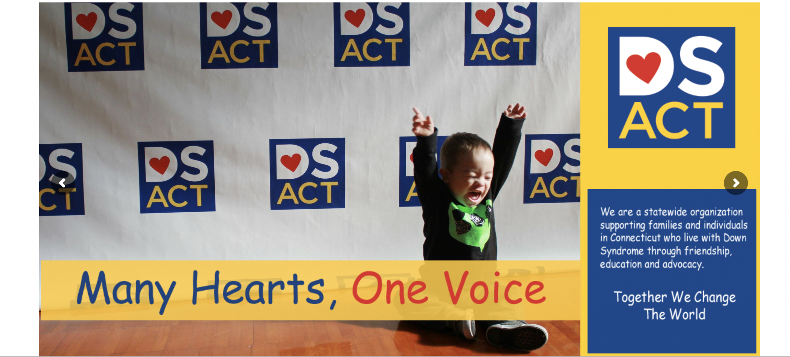 Picture of Down Syndrome Association of Connecticut homepage